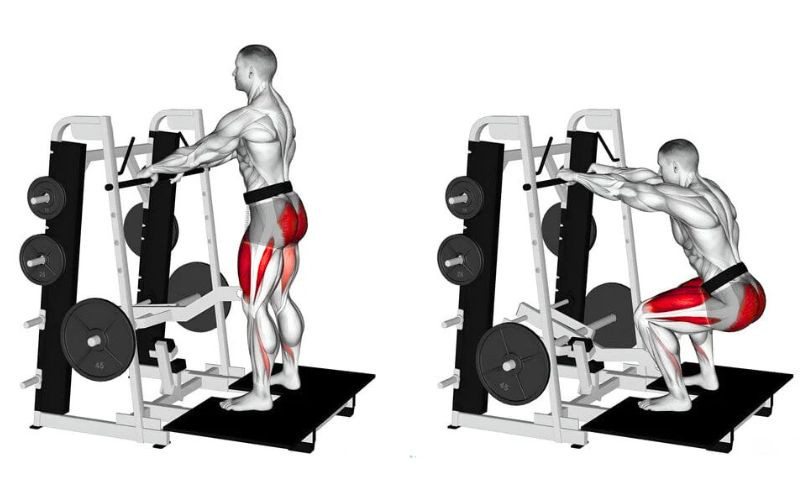 Belt Squat Machine