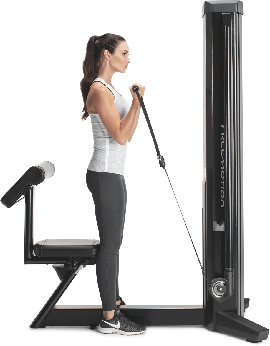 FreeMotion Genesis Biceps