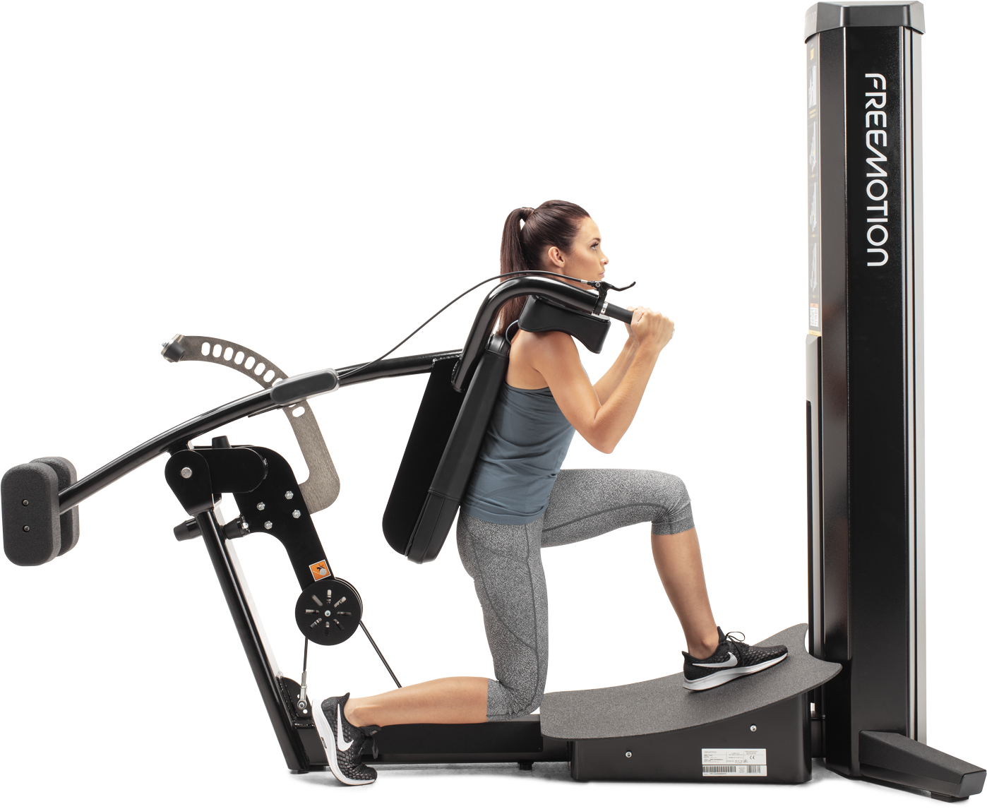 FreeMotion Genesis Squat