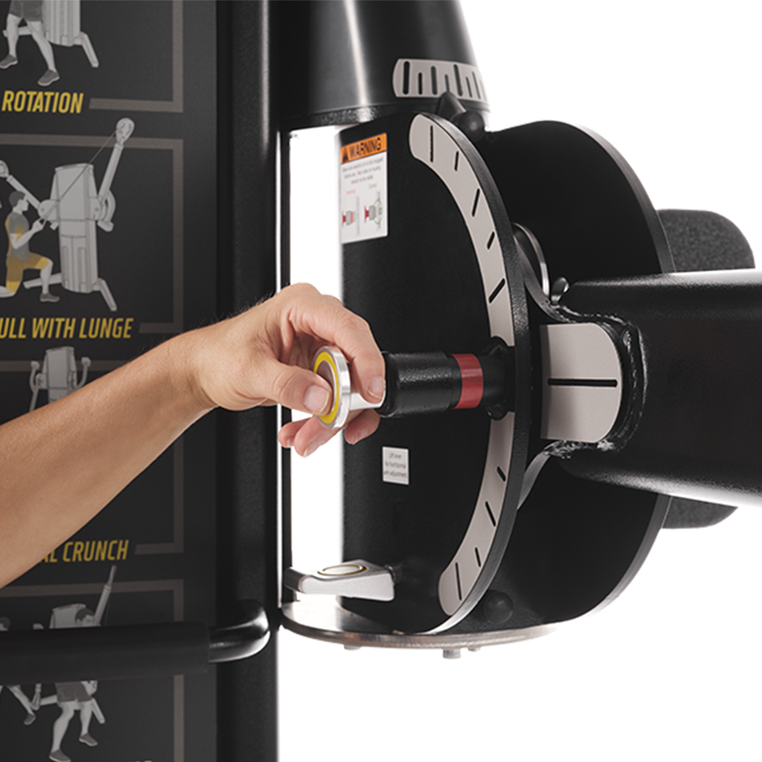 FreeMotion Genesis Dual Cable Cross