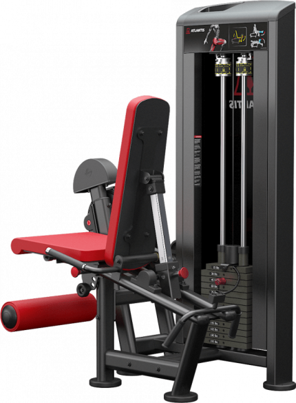Atlantis Precision Leg Extension/Leg Curl Combo