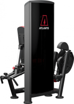 Atlantis Precision Leg Extension/Leg Curl Combo