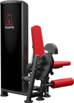 Atlantis Precision Leg Extension/Leg Curl Combo