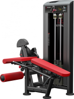 Atlantis Precision Leg Extension/Leg Curl Combo