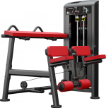 Atlantis Precision Kneeling Leg Curl