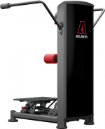 Atlantis Precision Total Hip