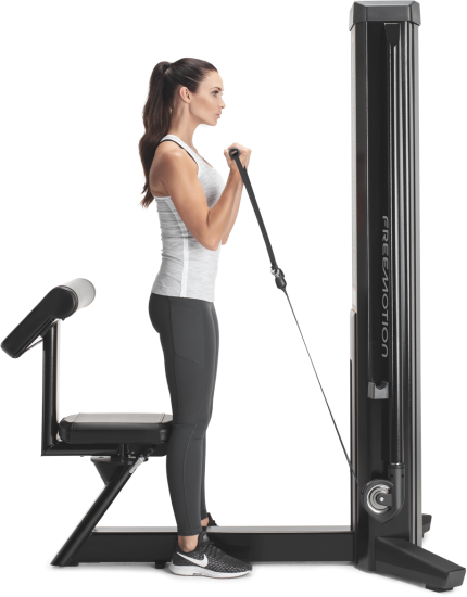 FreeMotion Genesis Biceps