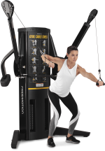 FreeMotion Genesis Dual Cable Cross