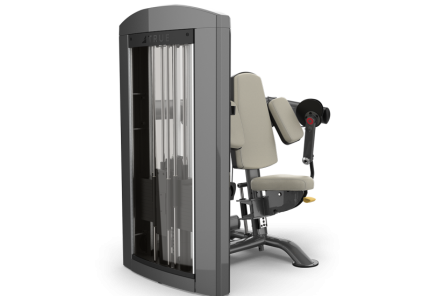 True : Palladium Series : Seated Bicep Curl